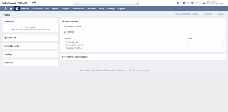 NetSuite License Utilization Portlet Demo